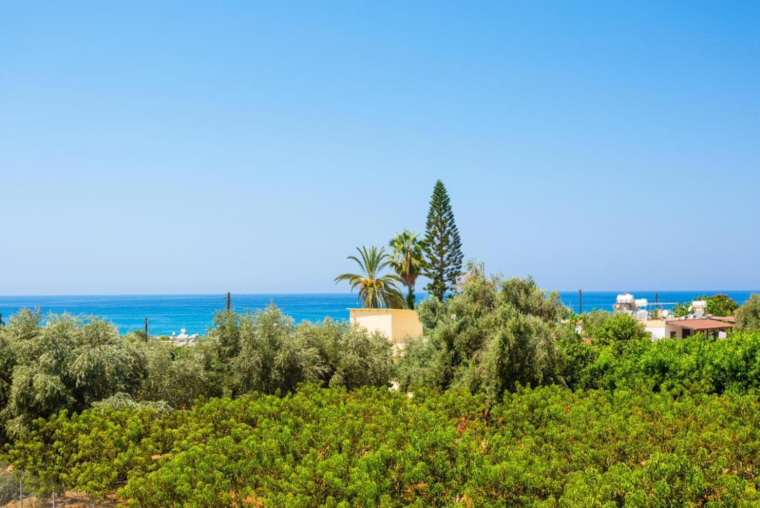 Villa Olivetta Kato Yialia Екстер'єр фото